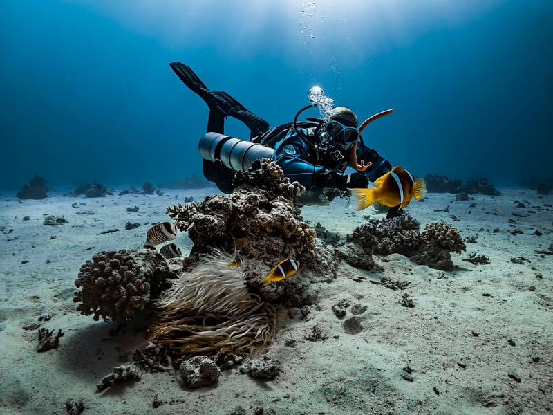Diving Adventure